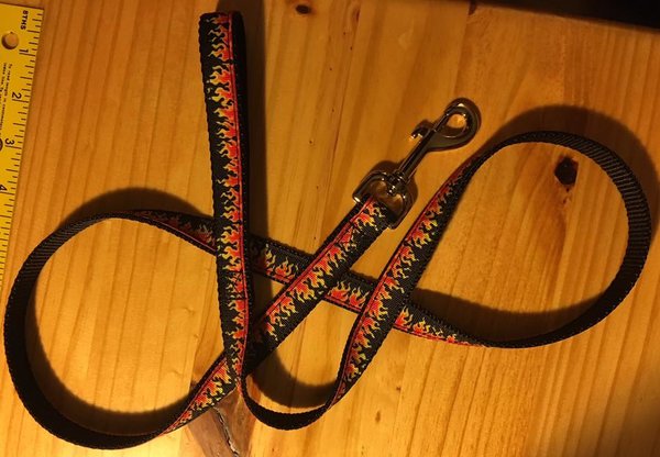 3/4&quot; Dog Leashes