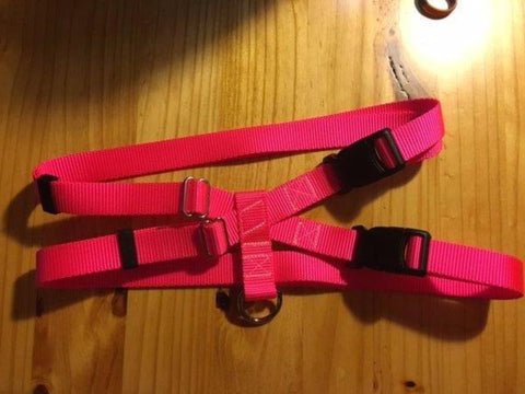 3/4" Hot Pink Nylon Pig Harness - Penny and Hoover's Pig Pen