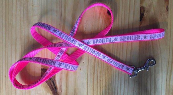3/4" Pink Spoiled Leash - Penny and Hoover's Pig Pen