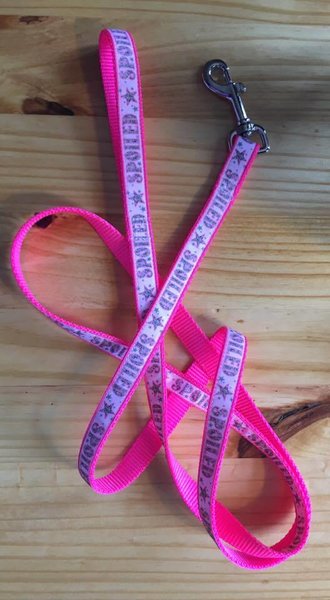 1" Pink Spoiled Leash - Penny and Hoover's Pig Pen