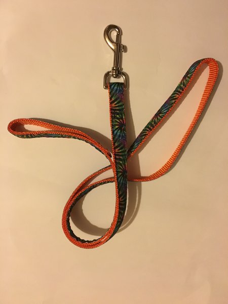 1" Tie Dye Stripes Leash - Penny and Hoover's Pig Pen