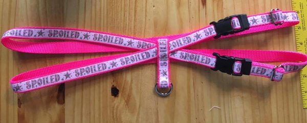 3/4&quot; Pig Harnesses