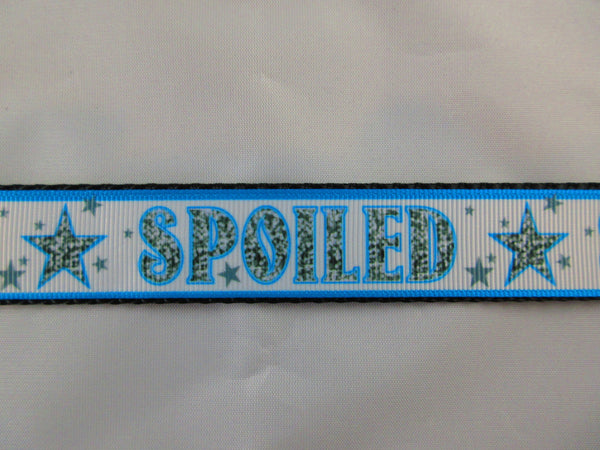3/4" Blue Spoiled Dog Collar - Penny and Hoover's Pig Pen