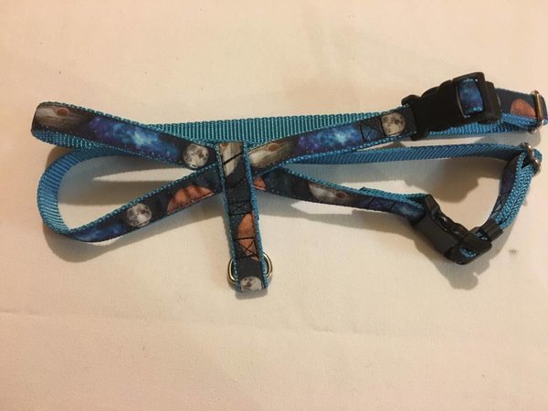 1" Galactic Neighbors Pig Harness - Penny and Hoover's Pig Pen