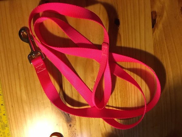 1" Hot Pink Nylon Leash - Penny and Hoover's Pig Pen
