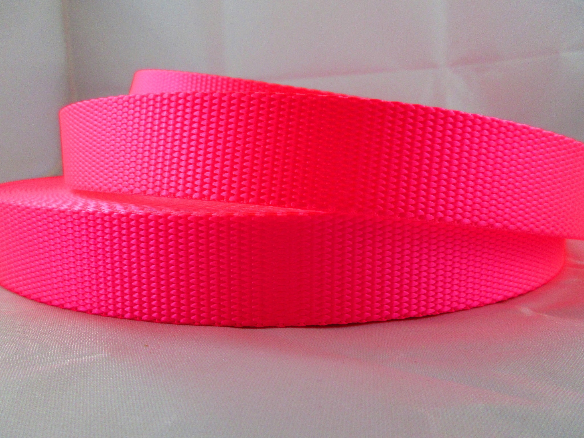 3/4" Hot Pink Nylon Collar - Penny and Hoover's Pig Pen