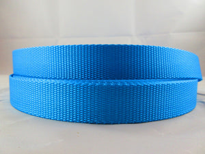 1" Ice Blue Nylon Leash - Penny and Hoover's Pig Pen