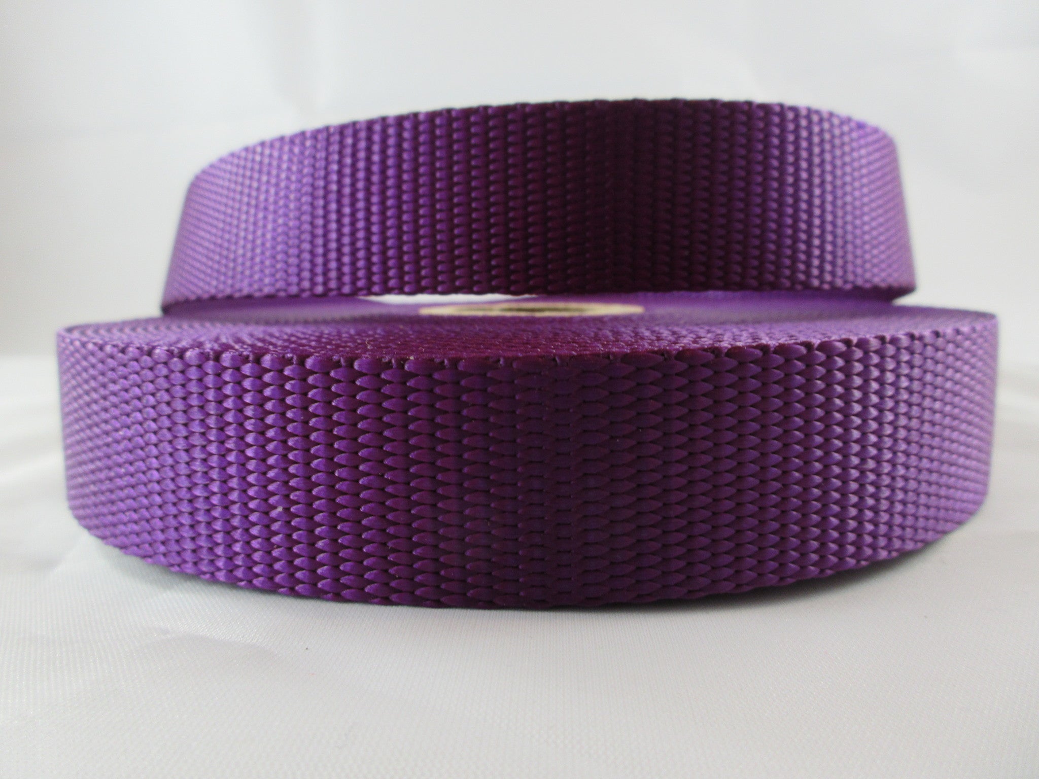 1" Purple Nylon Dog Collar - Penny and Hoover's Pig Pen