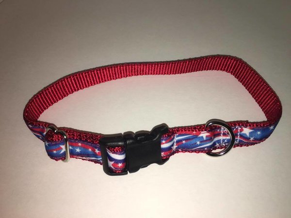 3/4" Star Spangled Dog Collar - Penny and Hoover's Pig Pen